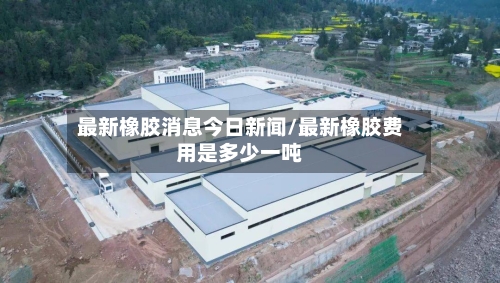 最新橡胶消息今日新闻/最新橡胶费用是多少一吨-第2张图片