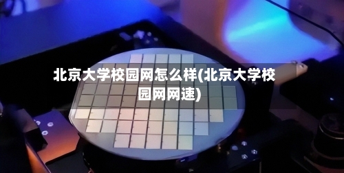 北京大学校园网怎么样(北京大学校园网网速)-第1张图片