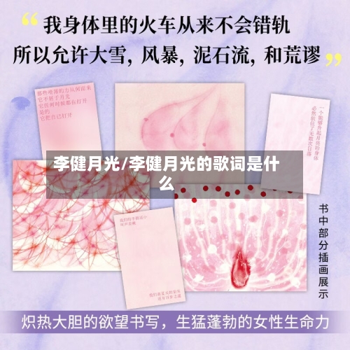 李健月光/李健月光的歌词是什么-第3张图片