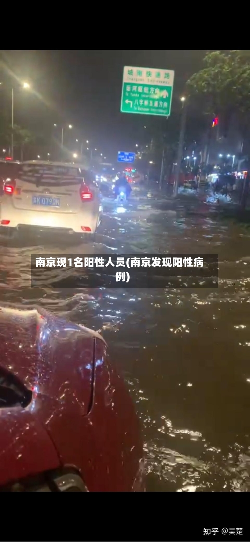 南京现1名阳性人员(南京发现阳性病例)-第3张图片