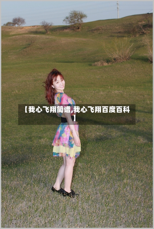 【我心飞翔简谱,我心飞翔百度百科】-第2张图片
