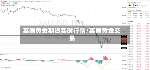 英国黄金期货实时行情/英国黄金交易-第1张图片