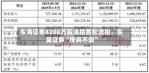 东海证券8300万股法拍首轮流拍，东吴证券“按兵不动”-第3张图片