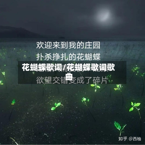 花蝴蝶歌词/花蝴蝶歌词歌曲-第2张图片