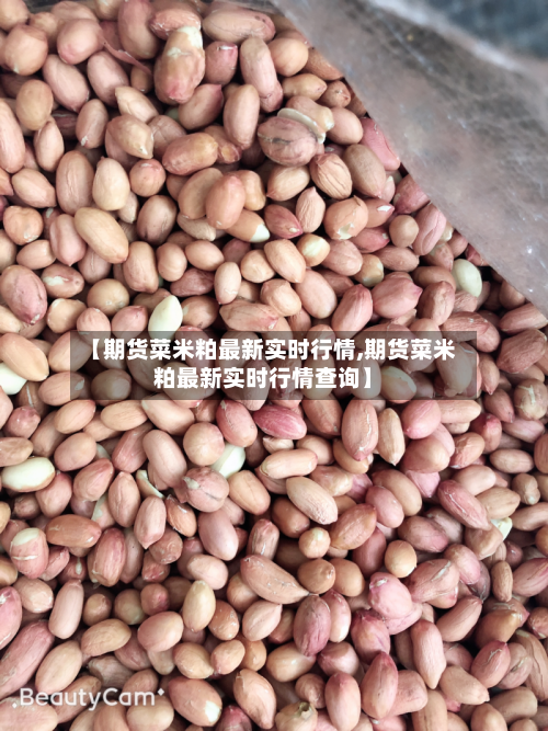 【期货菜米粕最新实时行情,期货菜米粕最新实时行情查询】-第1张图片