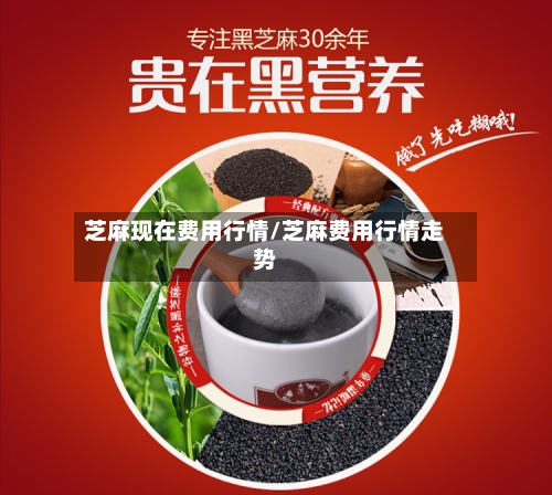 芝麻现在费用行情/芝麻费用行情走势-第2张图片