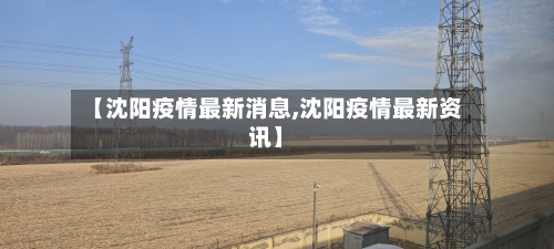 【沈阳疫情最新消息,沈阳疫情最新资讯】-第3张图片