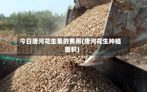今日唐河花生果的费用(唐河花生种植面积)-第1张图片