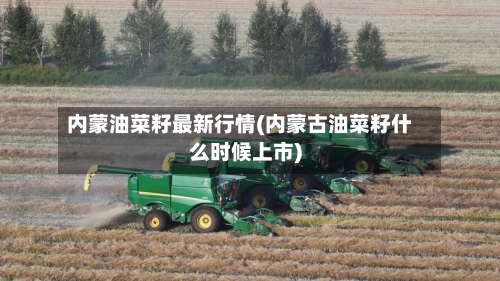 内蒙油菜籽最新行情(内蒙古油菜籽什么时候上市)-第1张图片