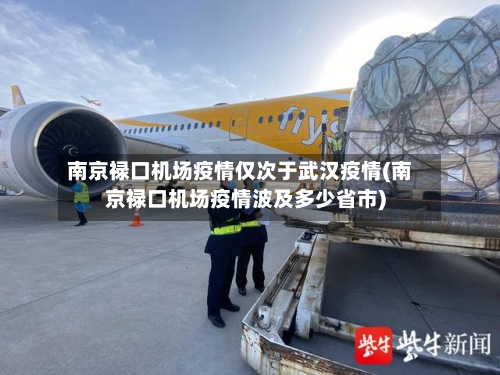 南京禄口机场疫情仅次于武汉疫情(南京禄口机场疫情波及多少省市)-第2张图片