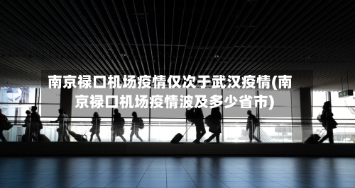 南京禄口机场疫情仅次于武汉疫情(南京禄口机场疫情波及多少省市)-第1张图片