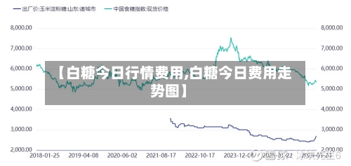 【白糖今日行情费用,白糖今日费用走势图】-第2张图片