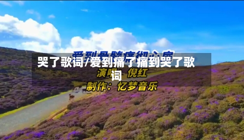 哭了歌词/爱到痛了痛到哭了歌词-第1张图片