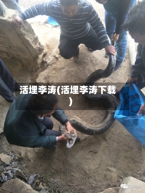 活埋李涛(活埋李涛下载)-第3张图片