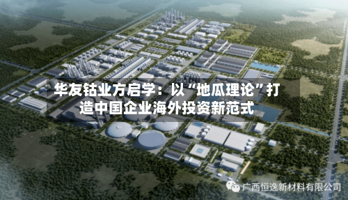 华友钴业方启学：以“地瓜理论”打造中国企业海外投资新范式-第1张图片