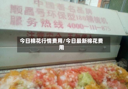 今日棉花行情费用/今日最新棉花费用-第2张图片