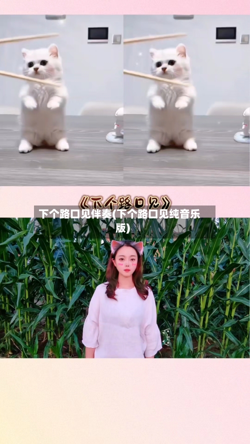 下个路口见伴奏(下个路口见纯音乐版)-第1张图片