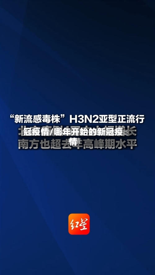 冠疫情/哪年开始的新冠疫情-第3张图片