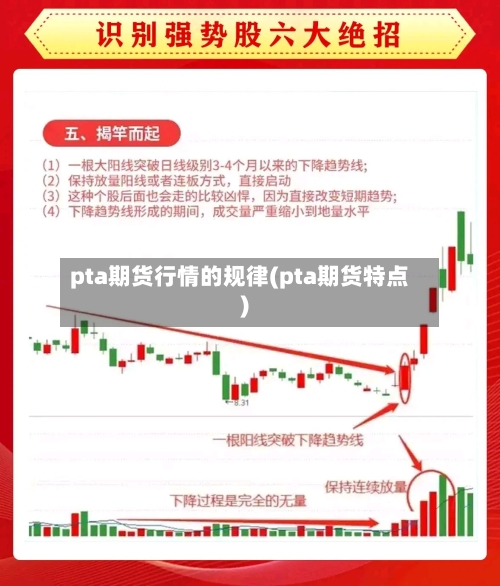 pta期货行情的规律(pta期货特点)-第2张图片