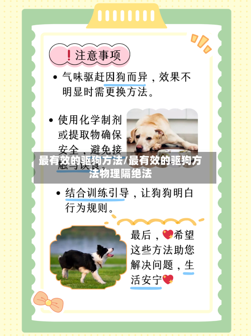 最有效的驱狗方法/最有效的驱狗方法物理隔绝法-第2张图片