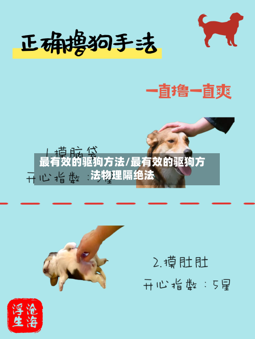 最有效的驱狗方法/最有效的驱狗方法物理隔绝法-第3张图片