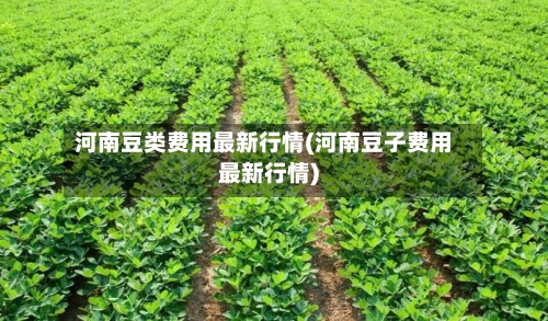 河南豆类费用最新行情(河南豆子费用最新行情)-第3张图片