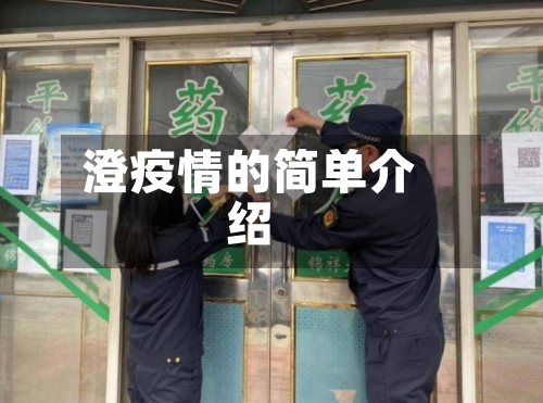 澄疫情的简单介绍-第3张图片