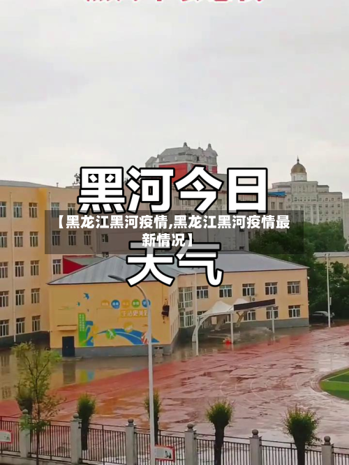 【黑龙江黑河疫情,黑龙江黑河疫情最新情况】-第2张图片