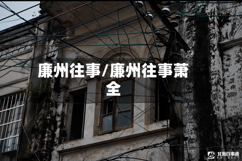 廉州往事/廉州往事萧全-第2张图片