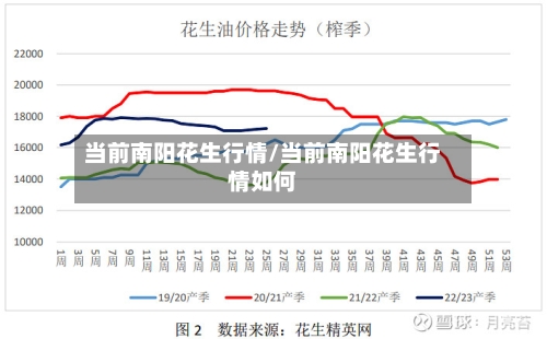 当前南阳花生行情/当前南阳花生行情如何-第1张图片