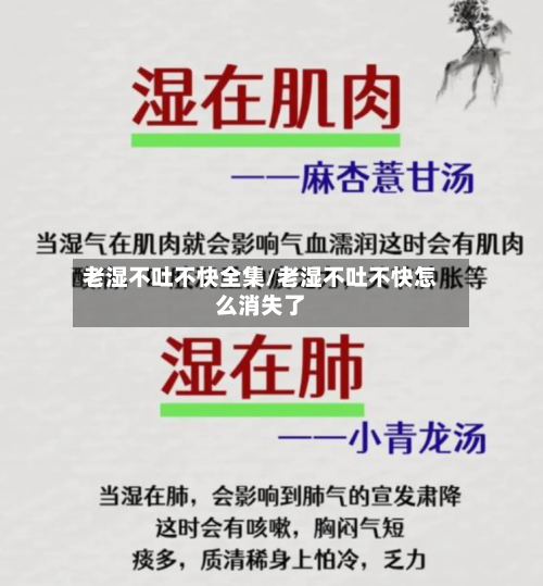 老湿不吐不快全集/老湿不吐不快怎么消失了-第2张图片