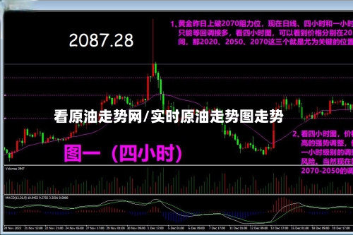 看原油走势网/实时原油走势图走势-第1张图片
