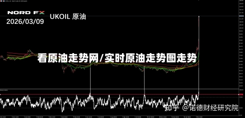 看原油走势网/实时原油走势图走势-第2张图片