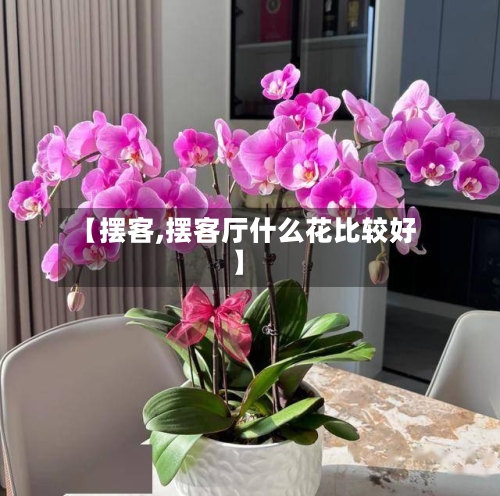 【摆客,摆客厅什么花比较好】-第1张图片