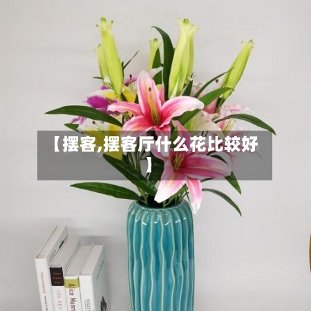 【摆客,摆客厅什么花比较好】-第2张图片