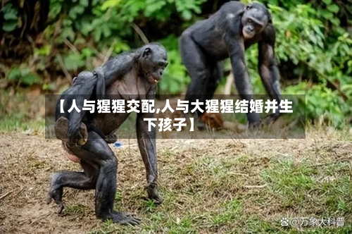 【人与猩猩交配,人与大猩猩结婚并生下孩子】-第3张图片