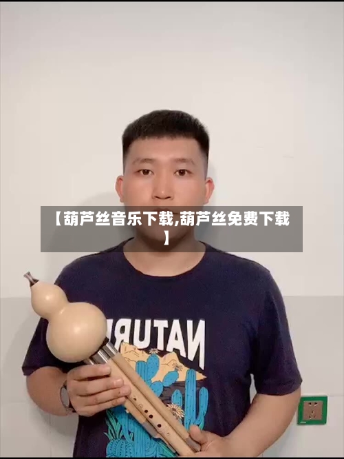 【葫芦丝音乐下载,葫芦丝免费下载】-第3张图片