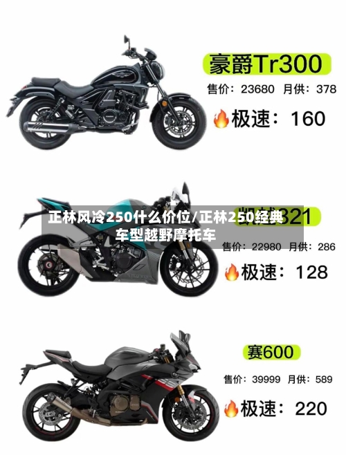 正林风冷250什么价位/正林250经典车型越野摩托车-第2张图片