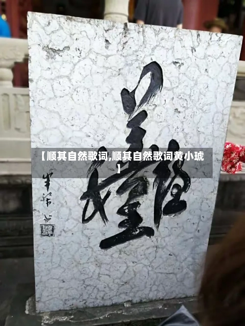 【顺其自然歌词,顺其自然歌词黄小琥】-第1张图片