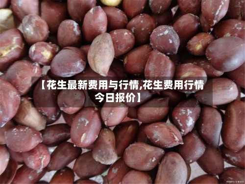 【花生最新费用与行情,花生费用行情今日报价】-第2张图片