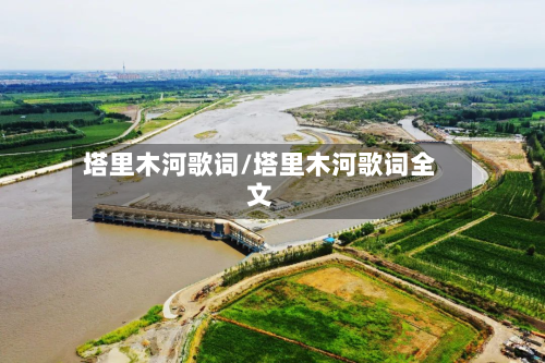 塔里木河歌词/塔里木河歌词全文-第1张图片