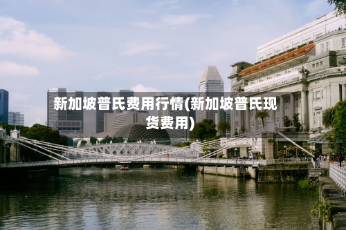 新加坡普氏费用行情(新加坡普氏现货费用)-第3张图片