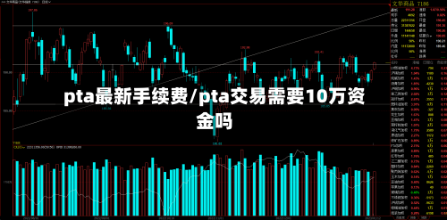 pta最新手续费/pta交易需要10万资金吗-第2张图片