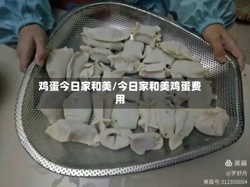 鸡蛋今日家和美/今日家和美鸡蛋费用-第2张图片