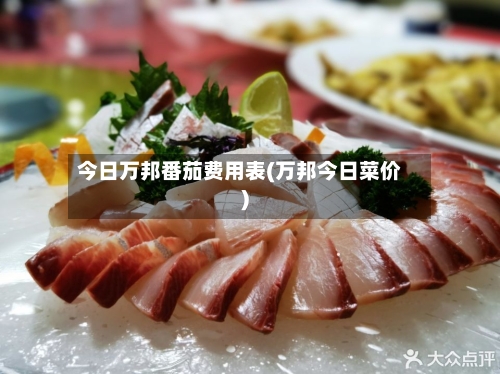 今日万邦番茄费用表(万邦今日菜价)-第1张图片