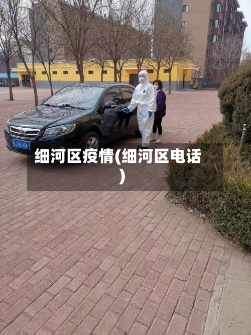 细河区疫情(细河区电话)-第1张图片