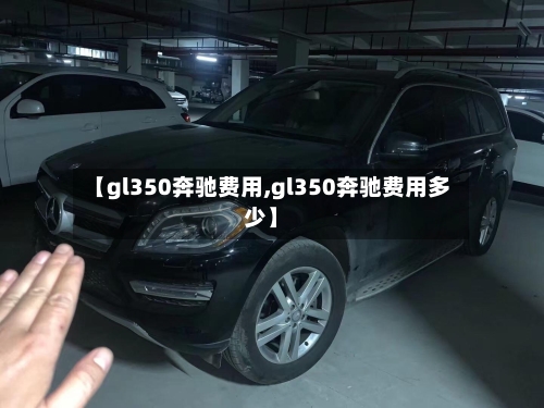 【gl350奔驰费用,gl350奔驰费用多少】-第2张图片