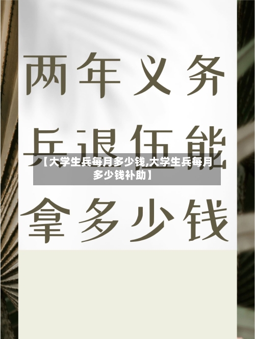 【大学生兵每月多少钱,大学生兵每月多少钱补助】-第2张图片